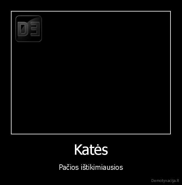 Katės - Pačios ištikimiausios