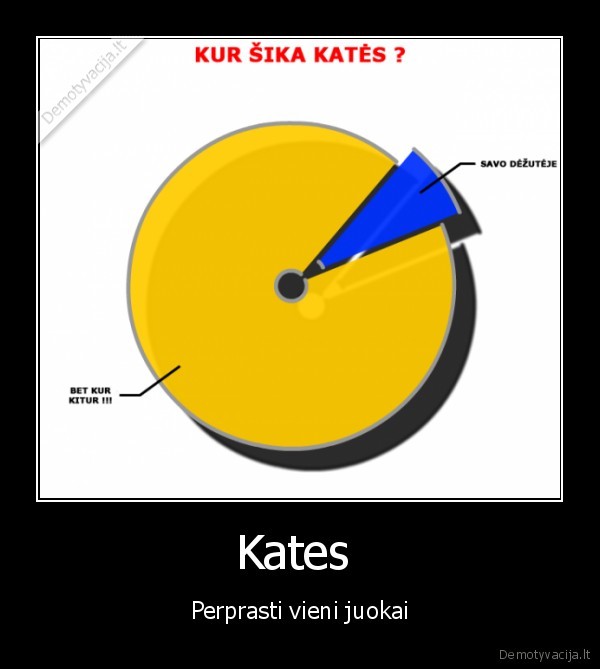 Kates  - Perprasti vieni juokai