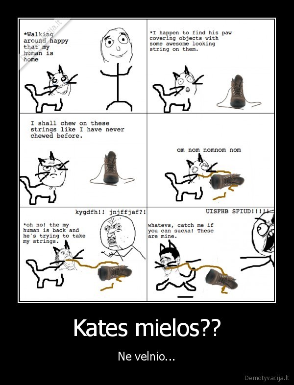 Kates mielos?? - Ne velnio...