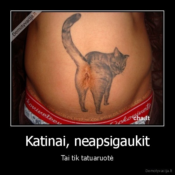 Katinai, neapsigaukit - Tai tik tatuaruotė