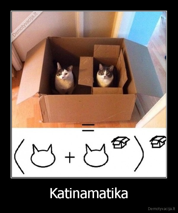 Katinamatika - 