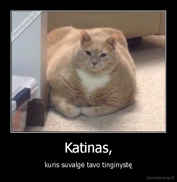 Katinas, - kuris suvalgė tavo tinginystę