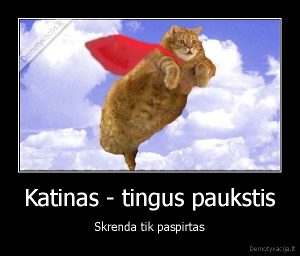 Katinas - tingus paukstis - Skrenda tik paspirtas