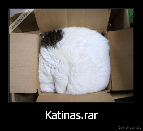 Katinas.rar - 