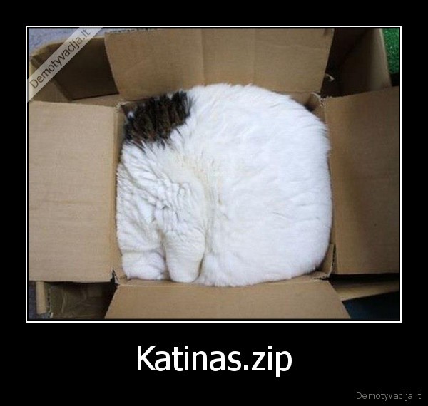 Katinas.zip - 