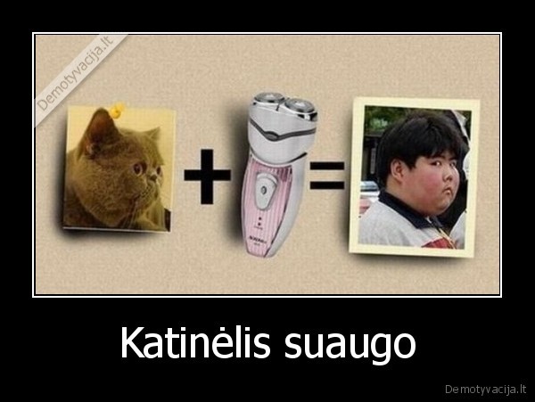 Katinėlis suaugo - 