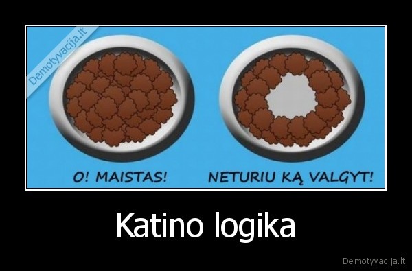 Katino logika - 