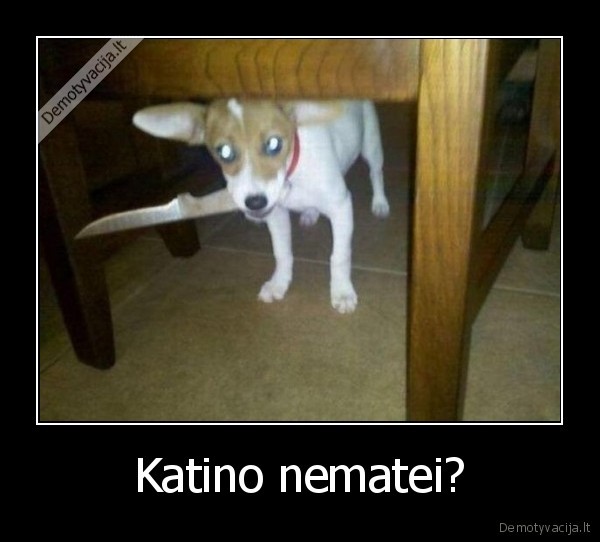 Katino nematei? - 