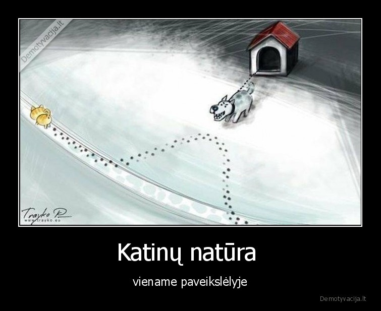 Katinų natūra  - viename paveikslėlyje