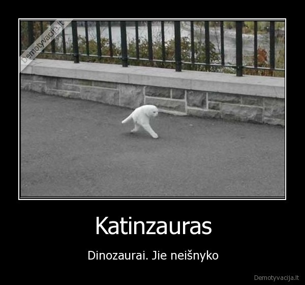 Katinzauras - Dinozaurai. Jie neišnyko