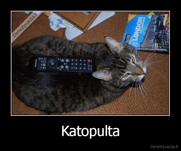 Katopulta - 