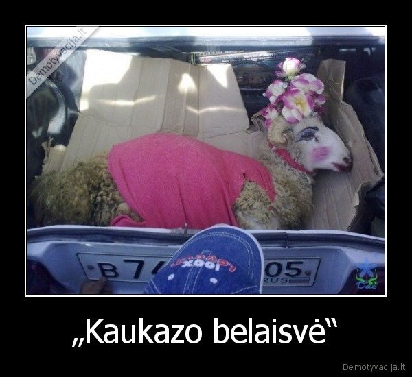 „Kaukazo belaisvė“ - 