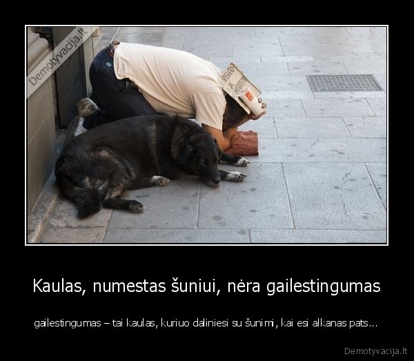 Kaulas, numestas šuniui, nėra gailestingumas - gailestingumas – tai kaulas, kuriuo daliniesi su šunimi, kai esi alkanas pats...