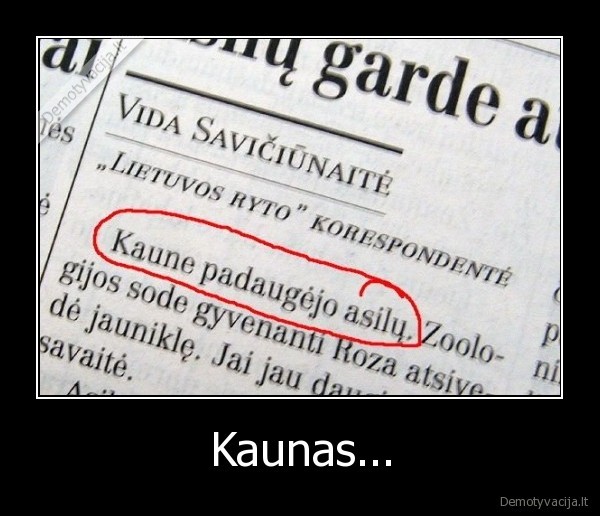 Kaunas... - 