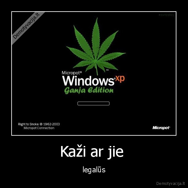 Kaži ar jie  - legalūs