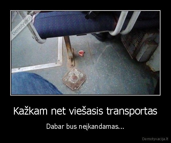 Kažkam net viešasis transportas - Dabar bus neįkandamas...