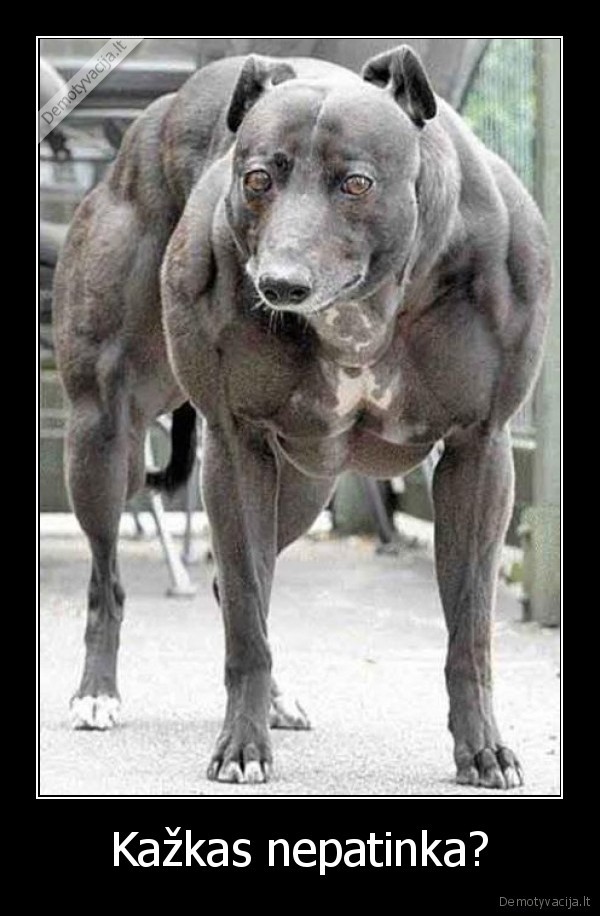 Kažkas nepatinka? - 