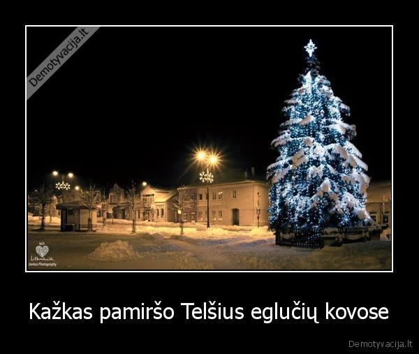 Kažkas pamiršo Telšius eglučių kovose - 