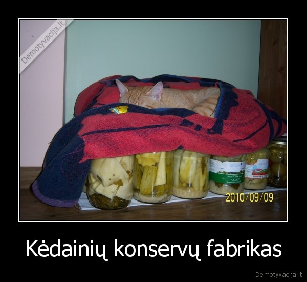 Kėdainių konservų fabrikas - 