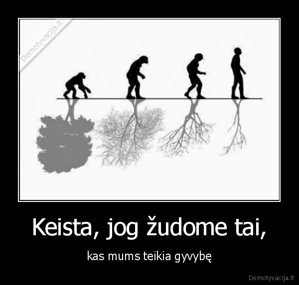 Keista, jog žudome tai, - kas mums teikia gyvybę