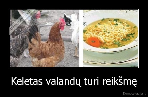 Keletas valandų turi reikšmę - 