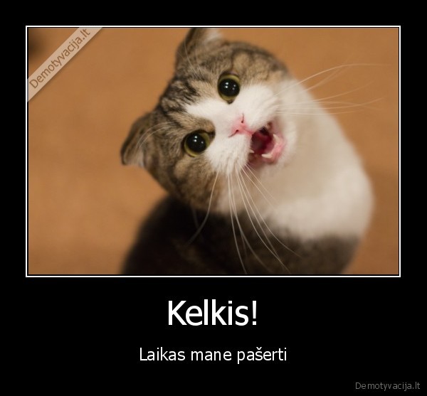 Kelkis! - Laikas mane pašerti