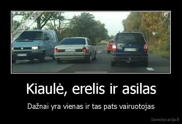 Kiaulė, erelis ir asilas - Dažnai yra vienas ir tas pats vairuotojas