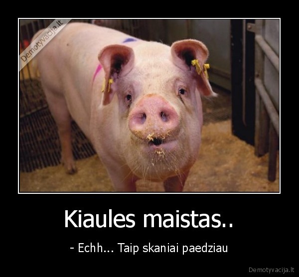 Kiaules maistas.. - - Echh... Taip skaniai paedziau