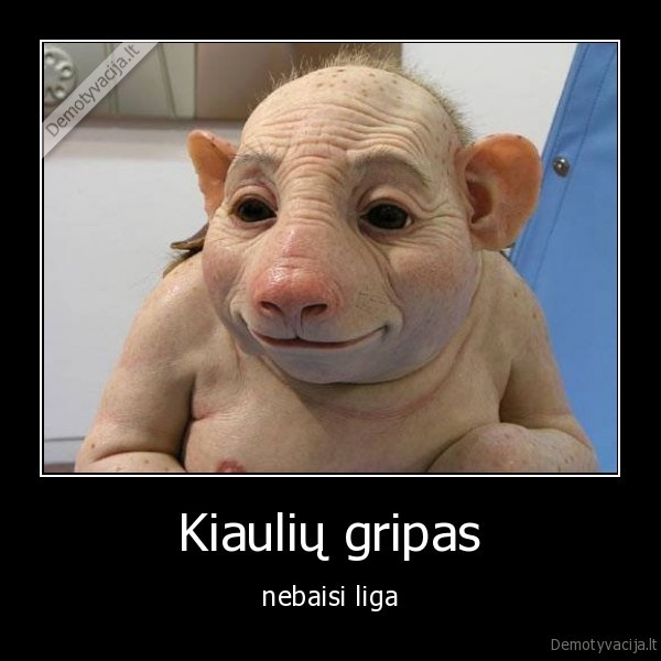 Kiaulių gripas - nebaisi liga