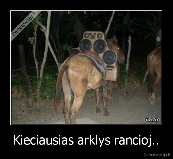 Kieciausias arklys rancioj.. - 