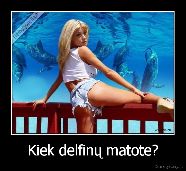 Kiek delfinų matote? - 