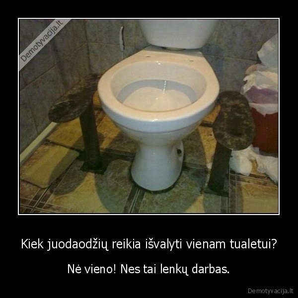 Kiek juodaodžių reikia išvalyti vienam tualetui? - Nė vieno! Nes tai lenkų darbas.