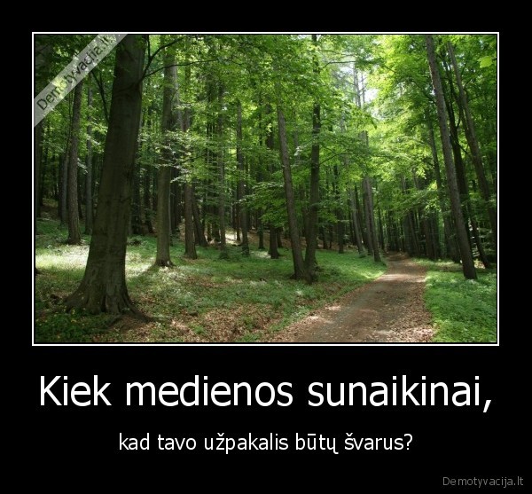 Kiek medienos sunaikinai, - kad tavo užpakalis būtų švarus?