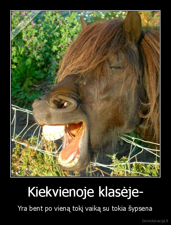 Kiekvienoje klasėje- - Yra bent po vieną tokį vaiką su tokia šypsena