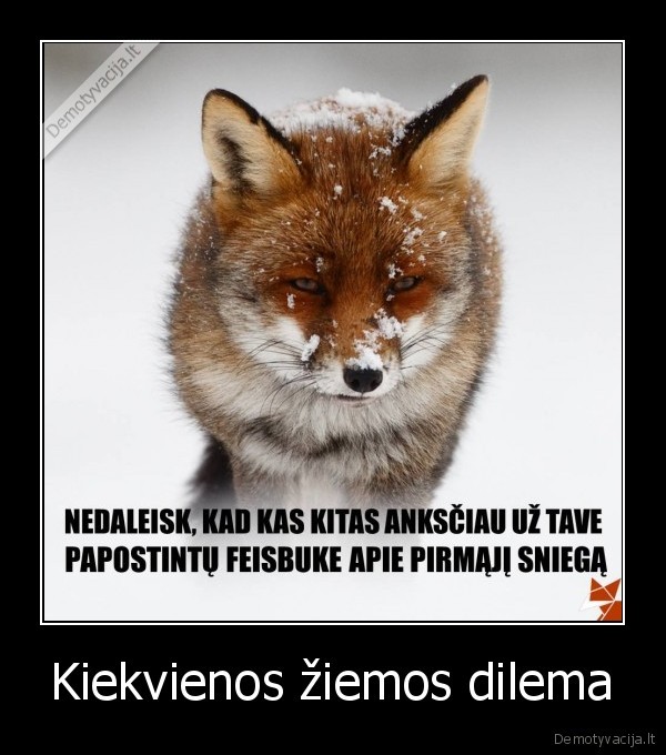 Kiekvienos žiemos dilema - 