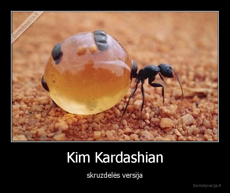 Kim Kardashian - skruzdelės versija