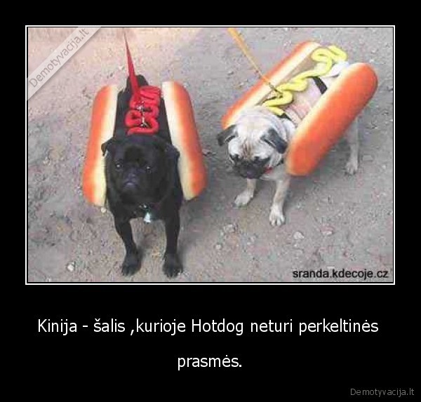 Kinija - šalis ,kurioje Hotdog neturi perkeltinės  - prasmės.