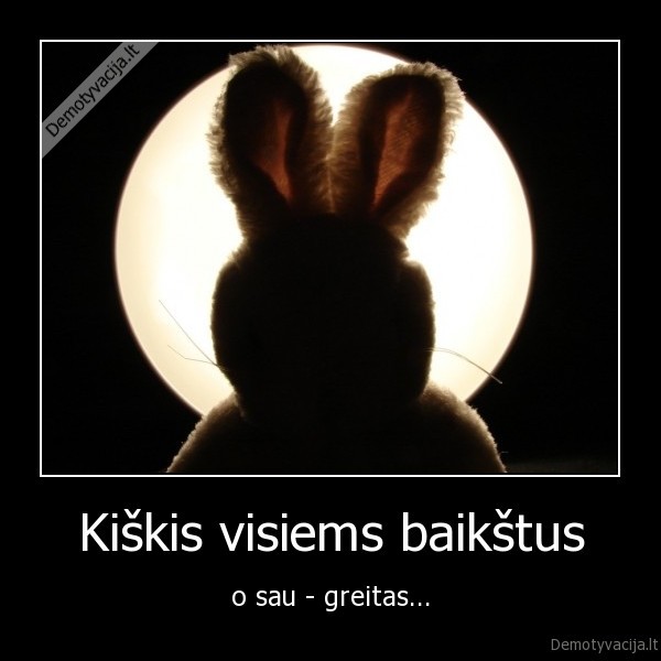 Kiškis visiems baikštus - o sau - greitas...