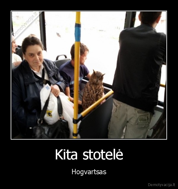 Kita stotelė - Hogvartsas