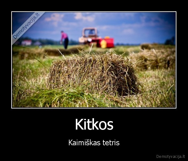 Kitkos - Kaimiškas tetris