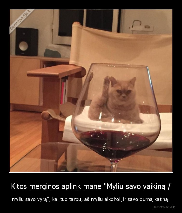 Kitos merginos aplink mane "Myliu savo vaikiną / - myliu savo vyrą", kai tuo tarpu, aš myliu alkoholį ir savo durną katiną.