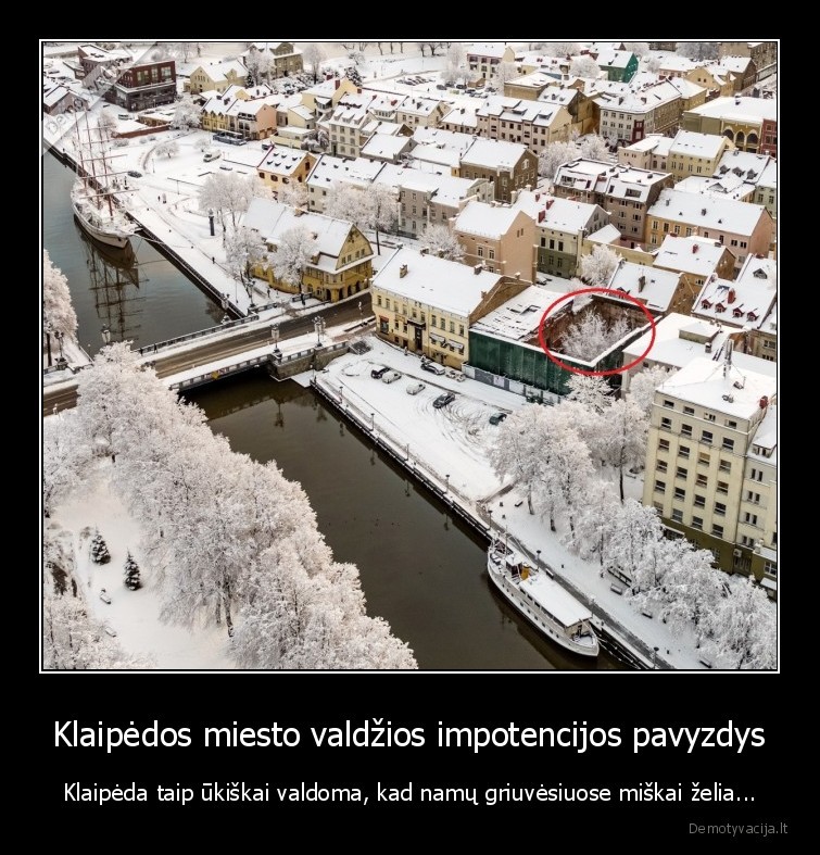 Klaipėdos miesto valdžios impotencijos pavyzdys - Klaipėda taip ūkiškai valdoma, kad namų griuvėsiuose miškai želia...