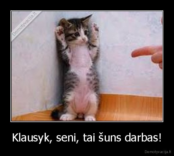 Klausyk, seni, tai šuns darbas! - 
