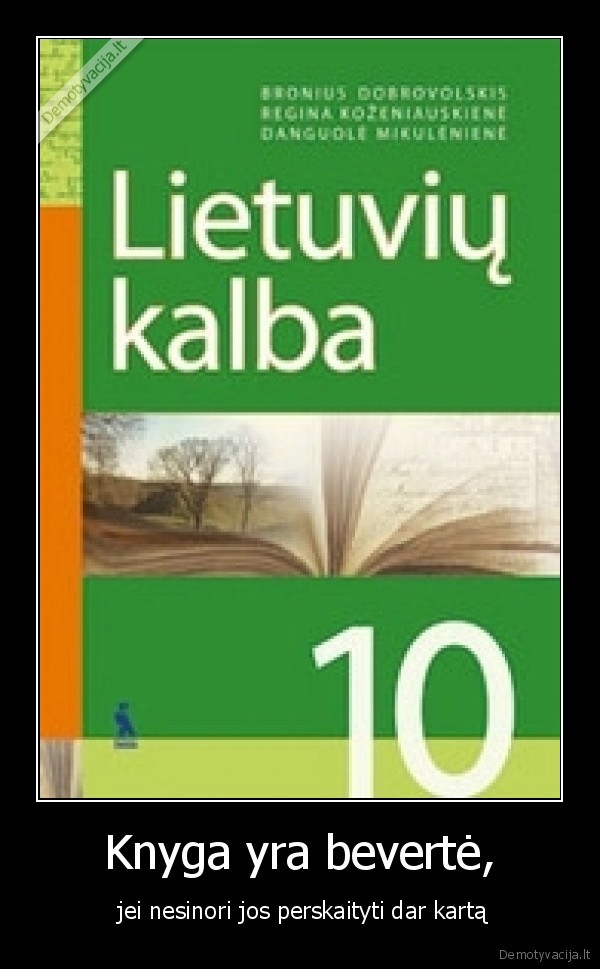 Knyga yra bevertė, -  jei nesinori jos perskaityti dar kartą