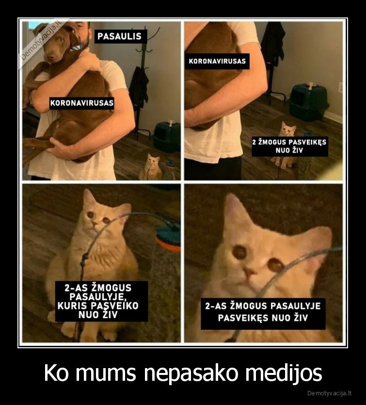 Ko mums nepasako medijos - 