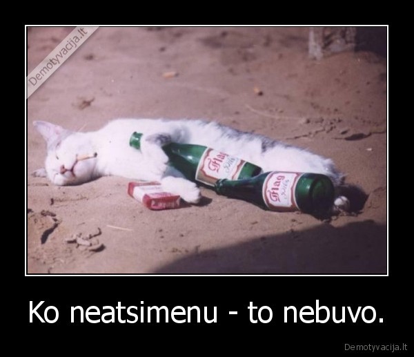 Ko neatsimenu - to nebuvo. - 