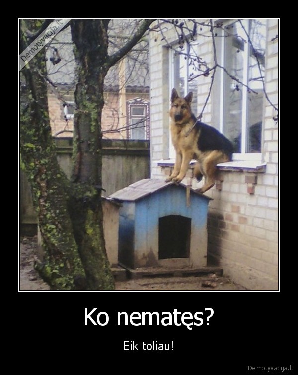 Ko nematęs? - Eik toliau!