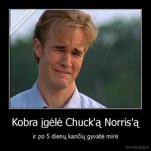 Kobra įgėlė Chuck'ą Norris'ą - ir po 5 dienų kančių gyvatė mirė