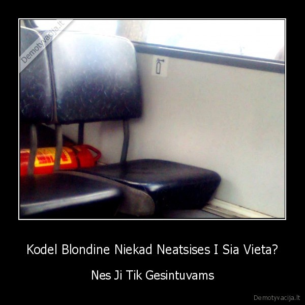 Kodel Blondine Niekad Neatsises I Sia Vieta? - Nes Ji Tik Gesintuvams