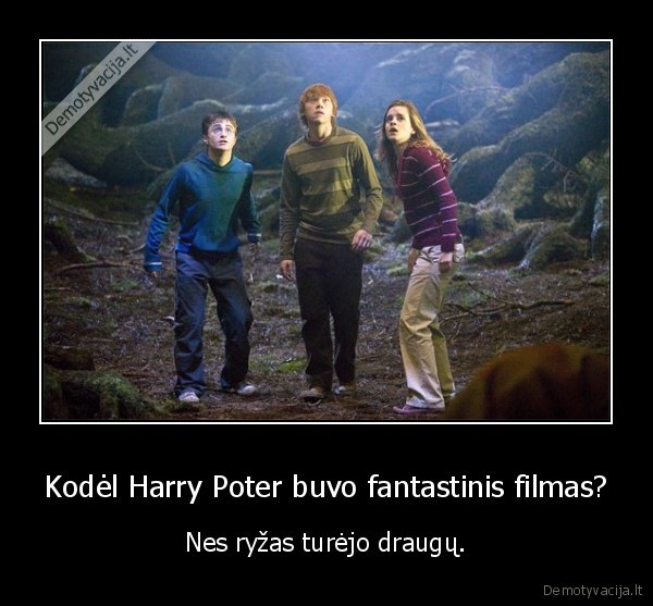 Kodėl Harry Poter buvo fantastinis filmas? - Nes ryžas turėjo draugų.